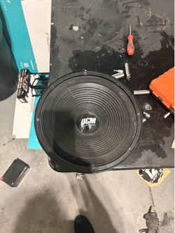 OCM 12” Subwoofer