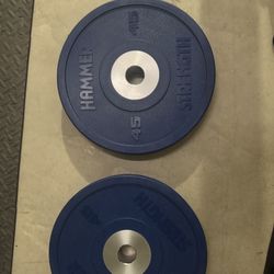 Weight Plates 45 Lb