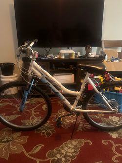 Women’s mountain bicycle