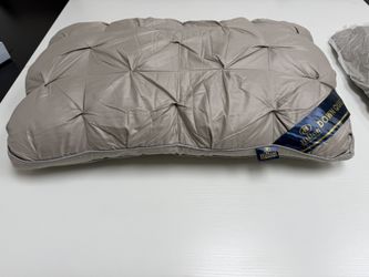 Brand New Pillow! 2 For $10