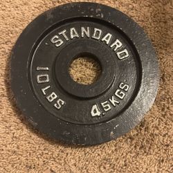 10 lb Single Weight Plate 2”