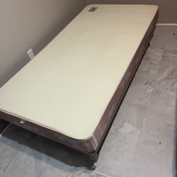 Twin Box Spring And Adjustable Frame 