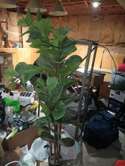 Large Artificial Fiddle Leaf Fig Tree