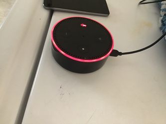 Echo Dot *Used*