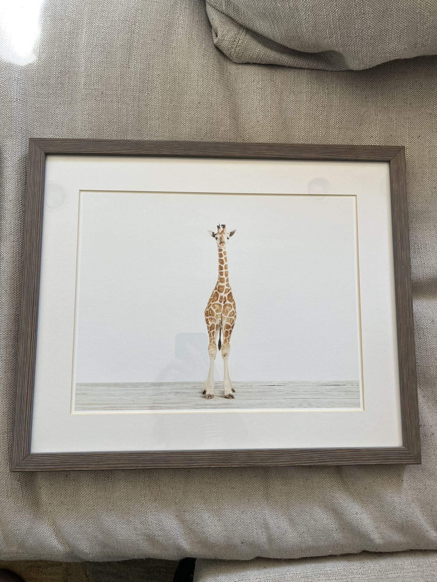 Baby Giraffe Giclée Print Wall Picture Frame - Restoration Hardware RH Baby & Child