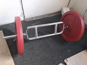 D P 44 lbs x2 with New Tricep bar