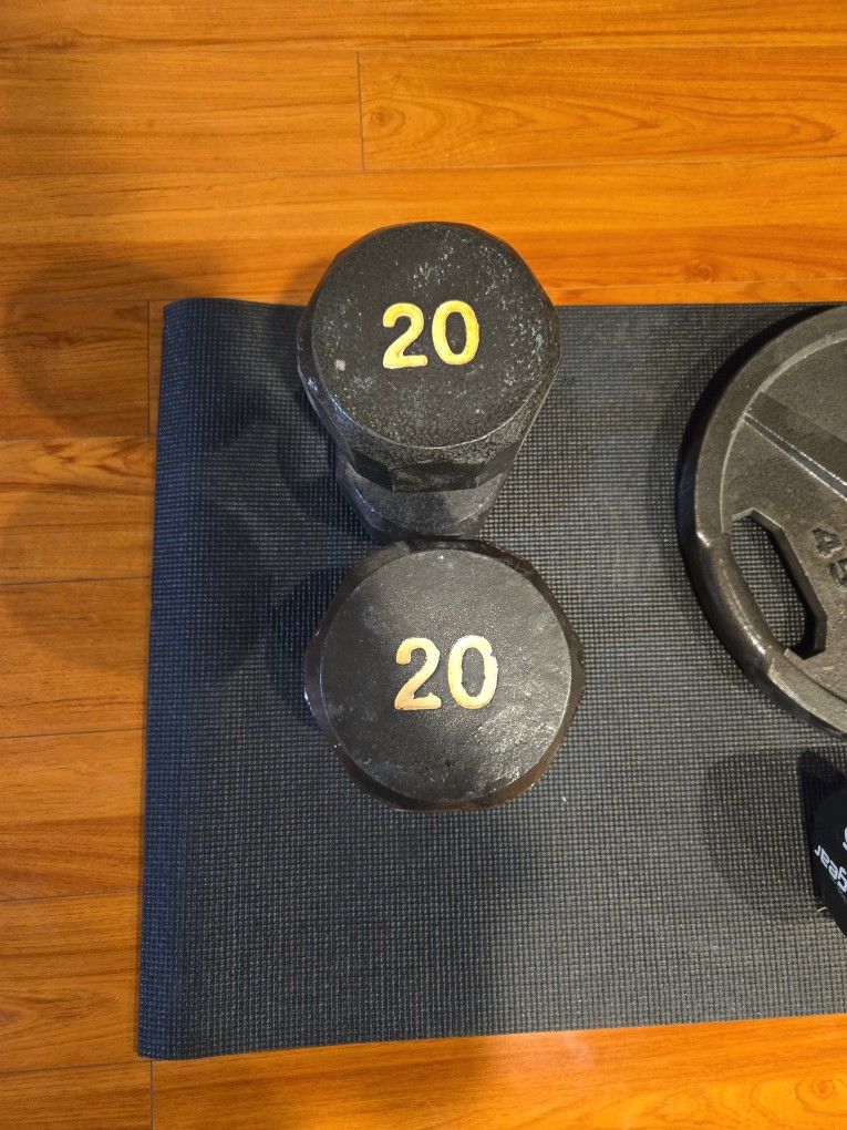 Dumbells 20 Pounds