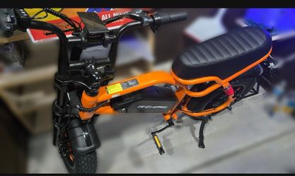 Bicicleta electrica/Ebike