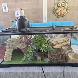 20 Gallon Glass Terrarium 