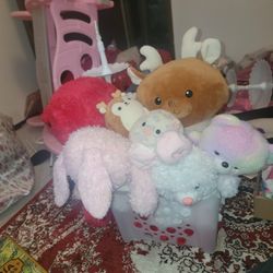 8 Stuffed Animal's In A Box