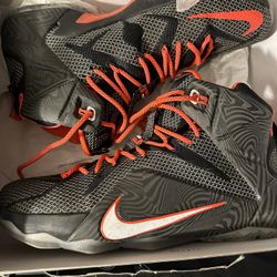 Lebron 12 Court vision 