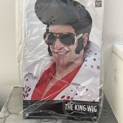 Elvis Wig $2 0
