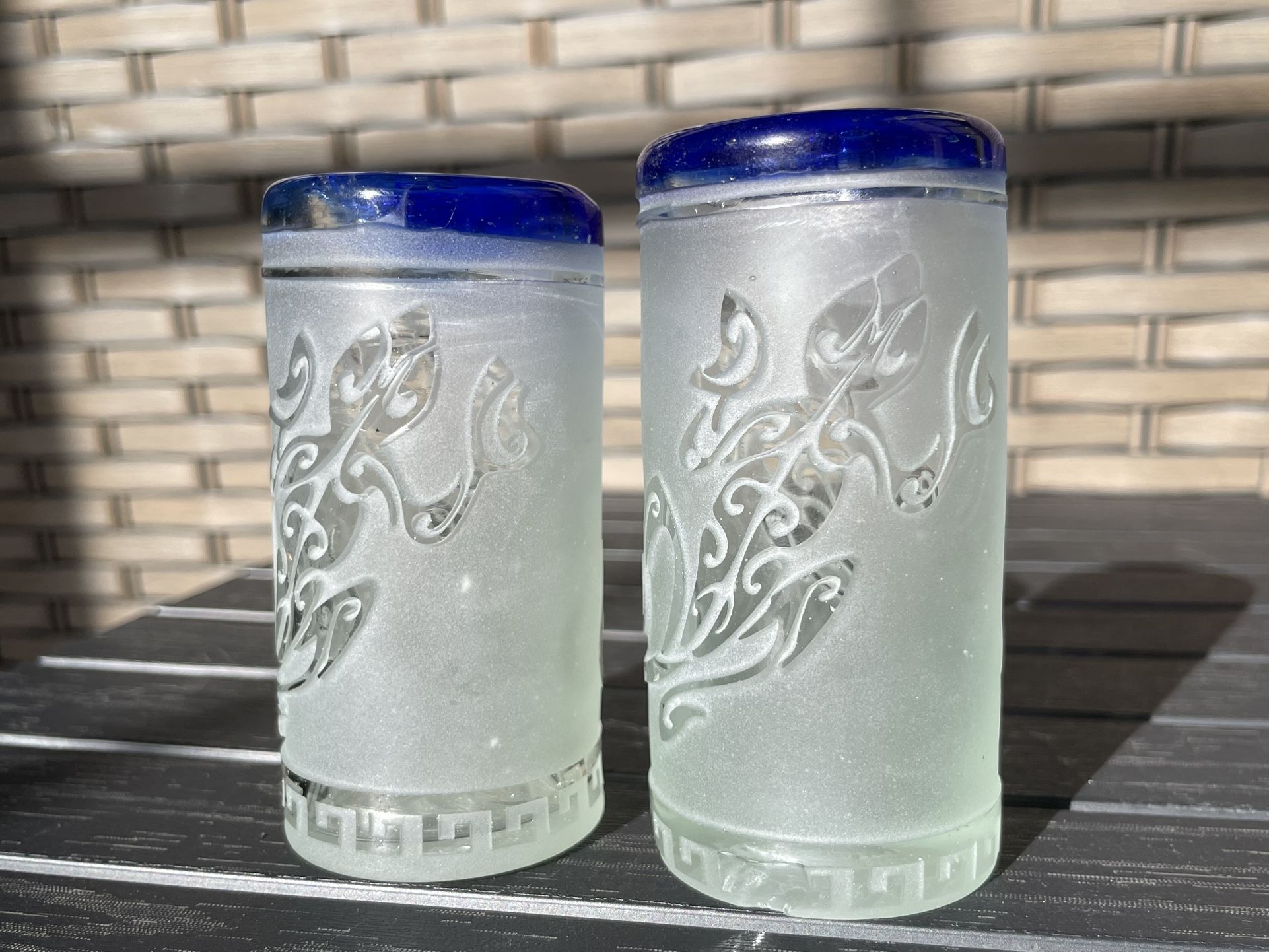 Tropical Shot Glasses Frosted Etched Lizard Pair