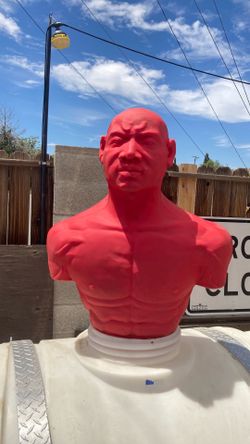 Training mannequin