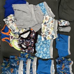 Potty Training Underwear