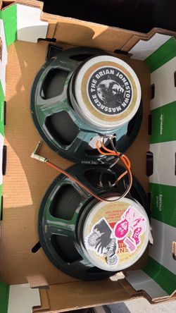 FENDER TWIN REVERB SPEAKERS