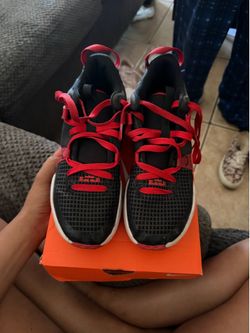 LeBron 4.5