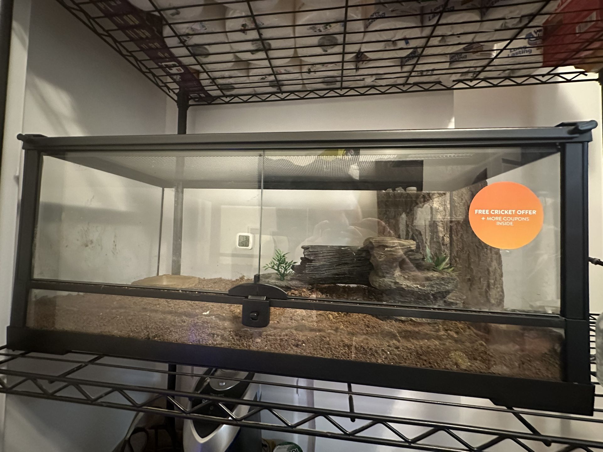 Thrive 20 gallon Reptile Enclosure 