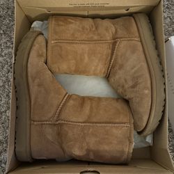 Chestnut Classic Short UGGS