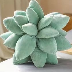 Small Succulent Pillow 