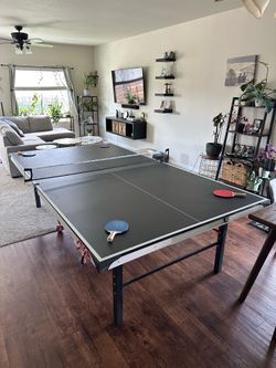 Ping Pong Table