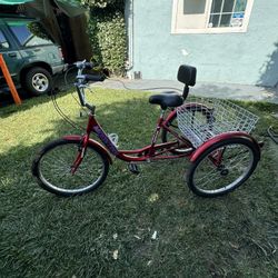 24” Triciclo 