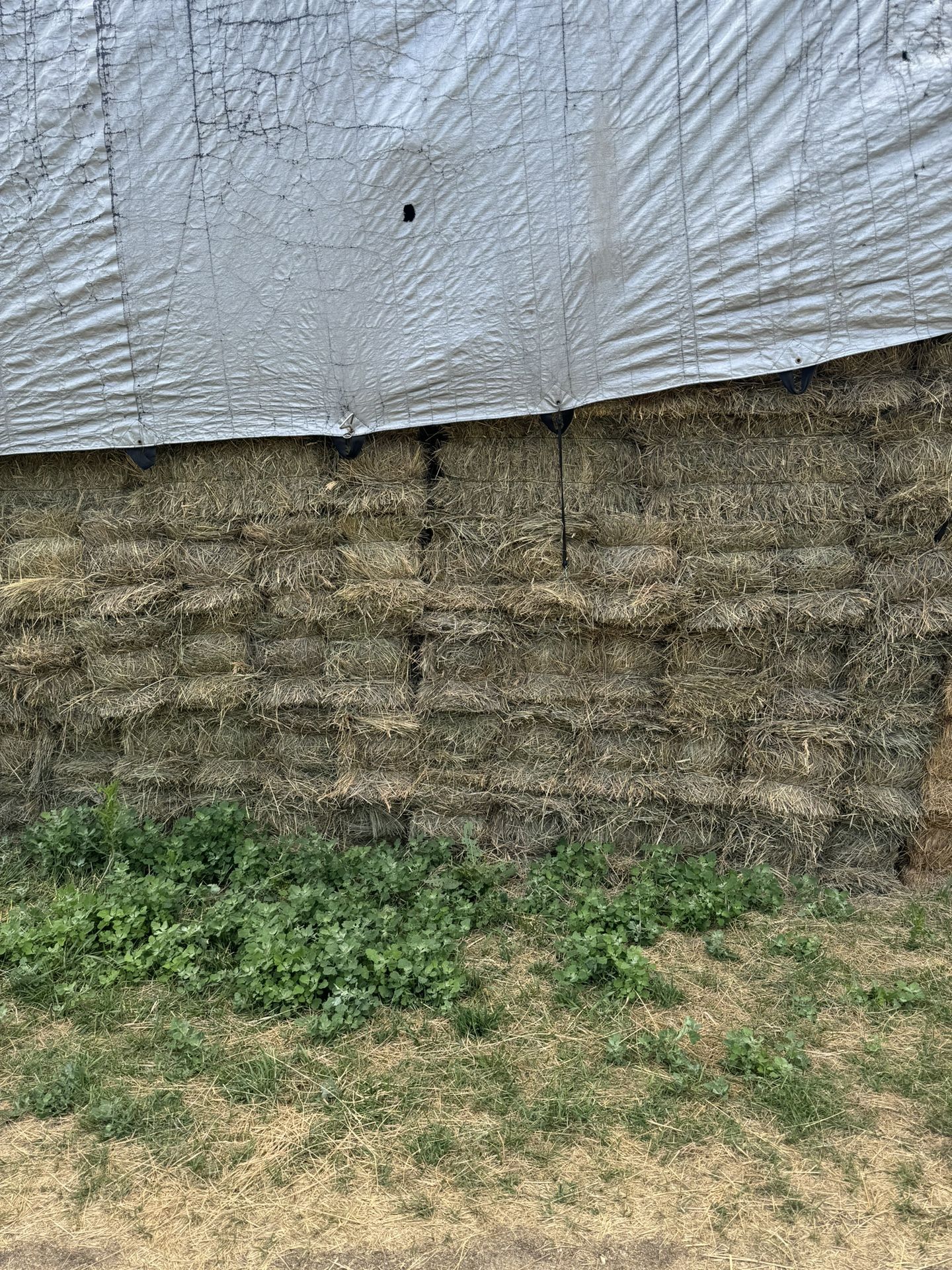 Wire Tied 3’x2’ Grass Hay