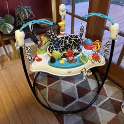 Fisher Price Activity Center