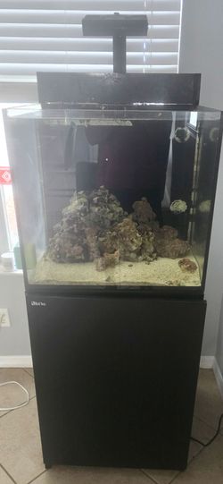 50 gallon Red Sea aquarium