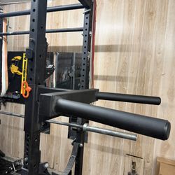 Rogue Infinity Matador Dip Station 