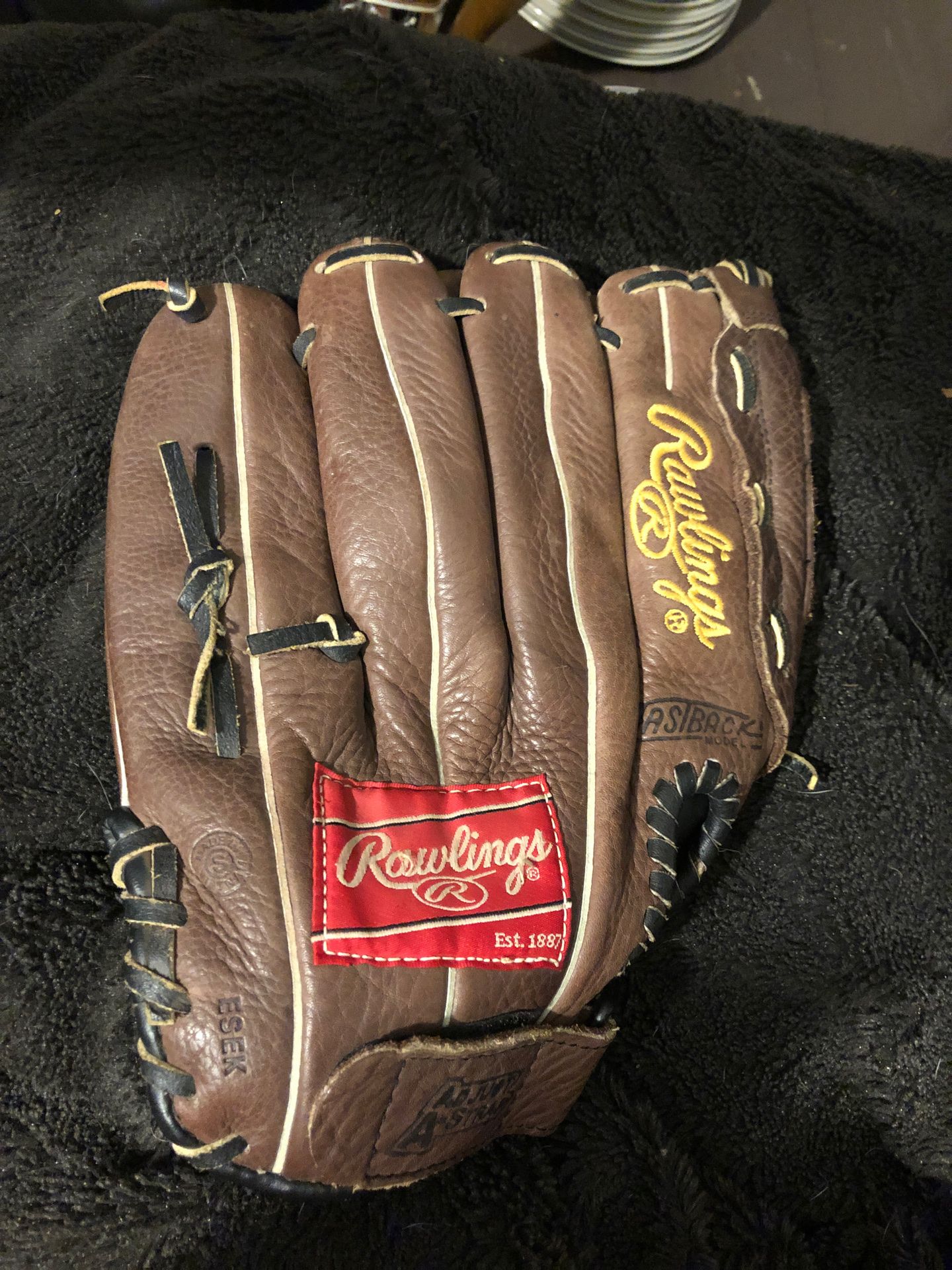 Rawlings glove