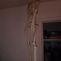 3 Foot Skeleton.