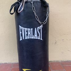 Punching Bag 50 Pounds