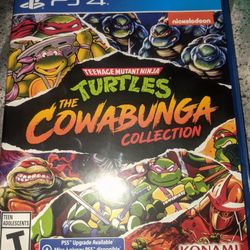 Teenage Mutant Ninja Turtles Collection 