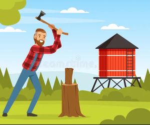 Fire wood/firewood
