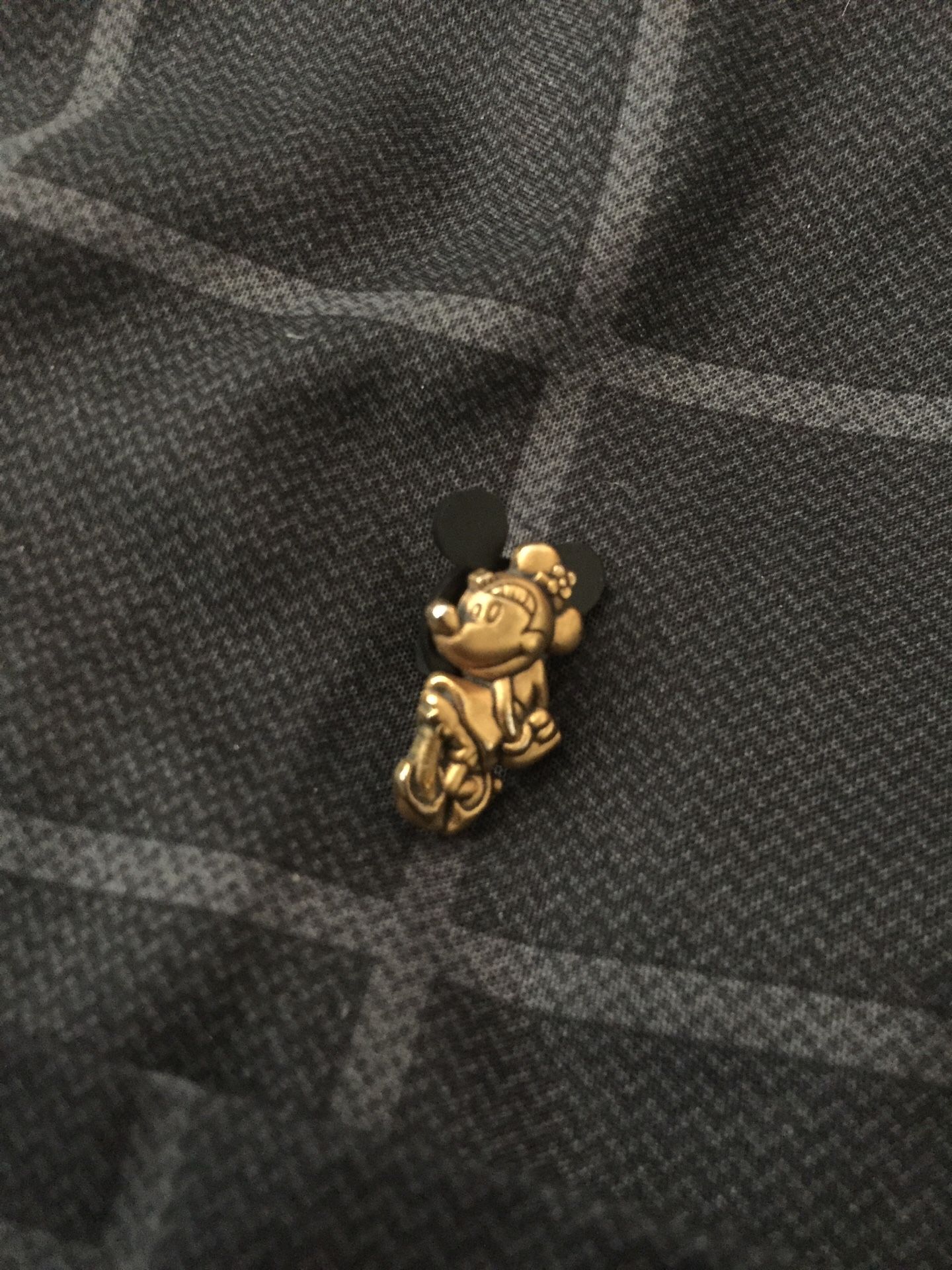 Disney pin