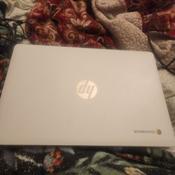 hp chrome book