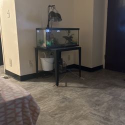 Aquarium, Amphibian And Reptile Lamp  And Other  Stuff