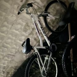 Adult Bicycles 