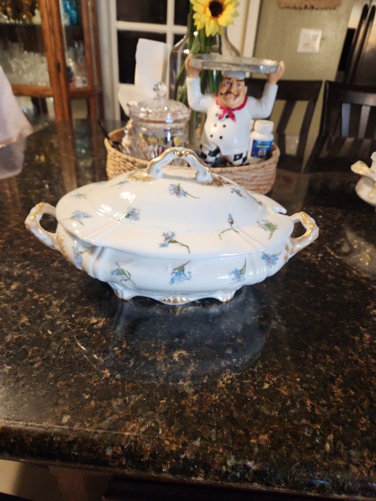 Theodore Haviland 15x8   Dish Bowl  Vegetable Bowl