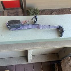 Dog Collar