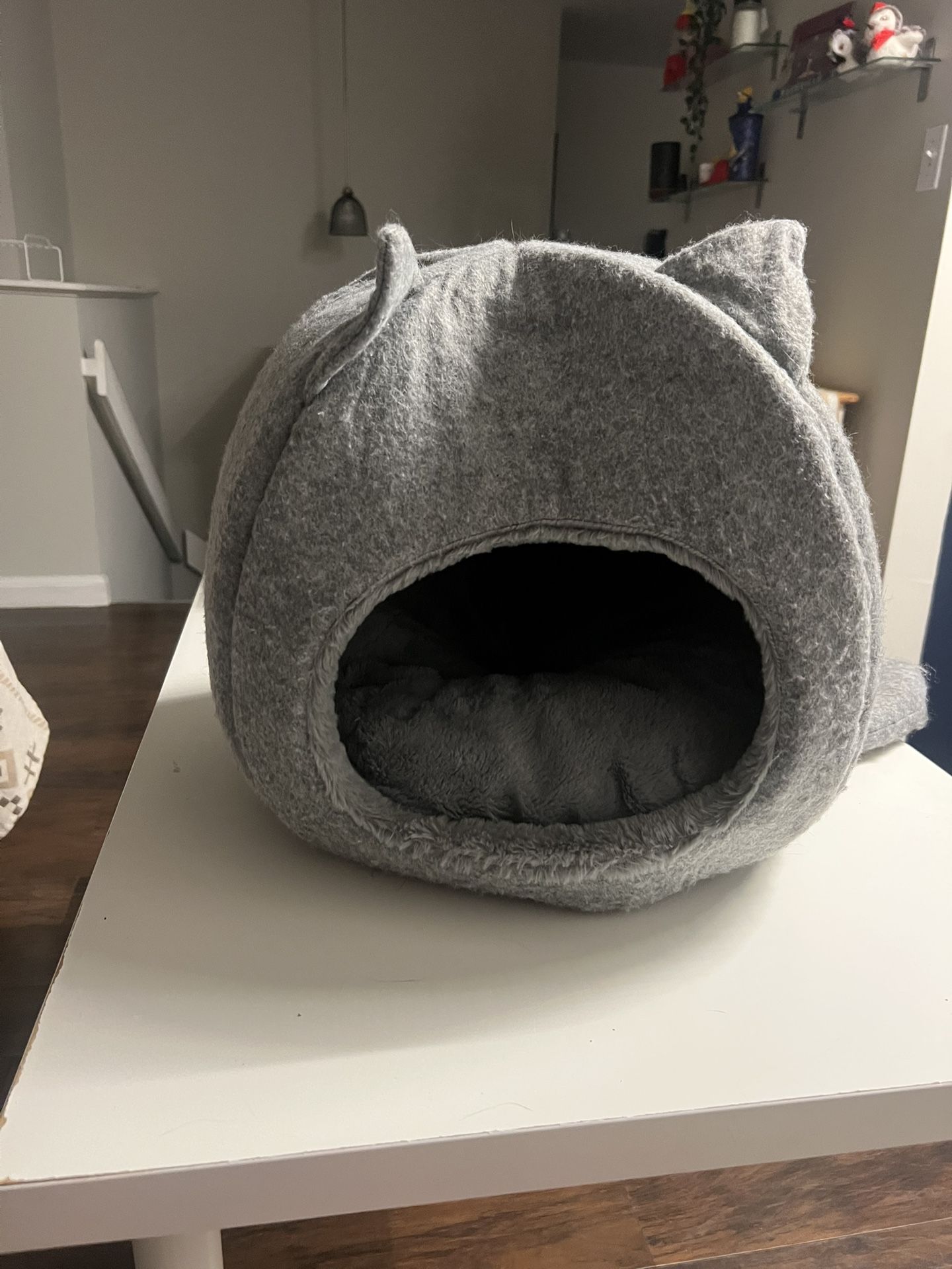 Grey Cat Cave 