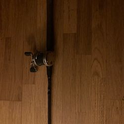 Abu Garcia Ambassador W/berkly Lightning Rod