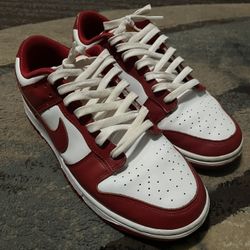 gym red panda dunks
