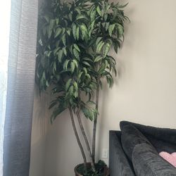 Large Artificial Plant
