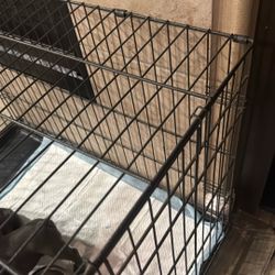 Frenchie Dog crate For Sale 