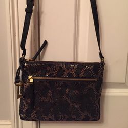 Fossil Crossbody Bag