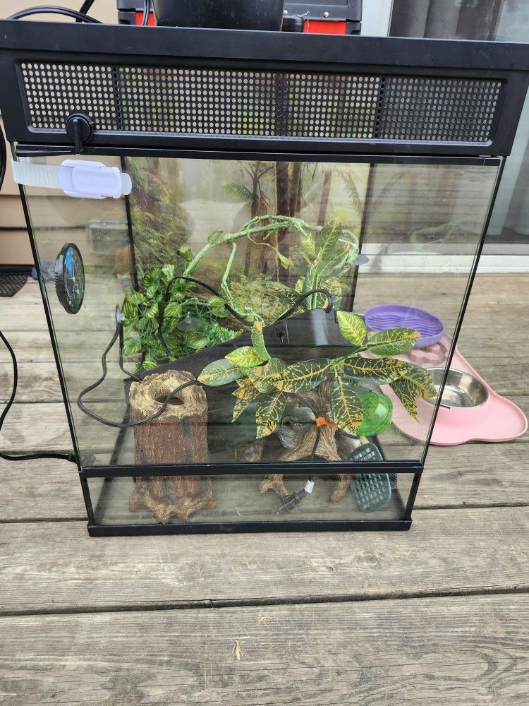 Reptile Cage With Some Accessories 