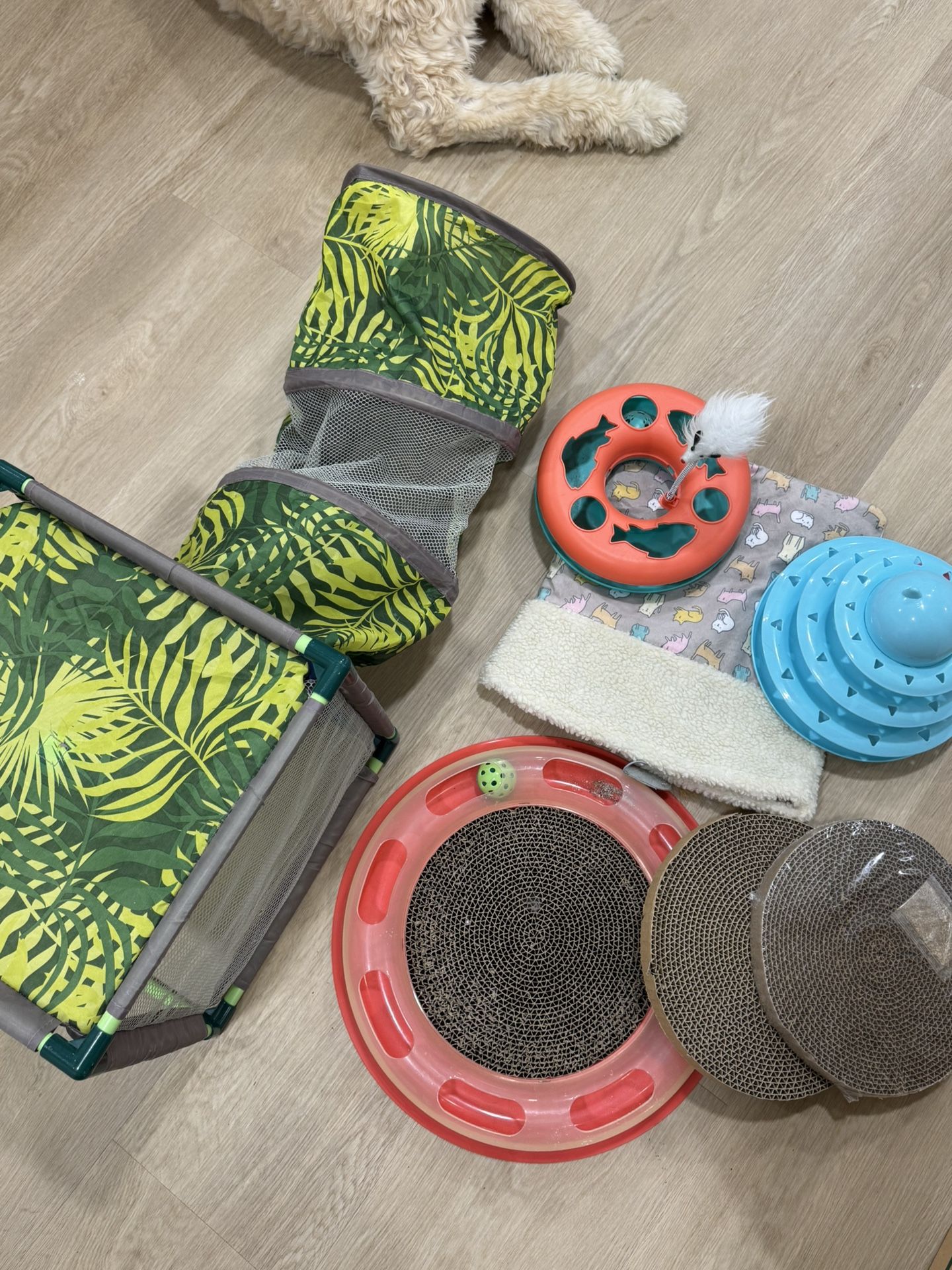 A Bunch Of Cat Toys