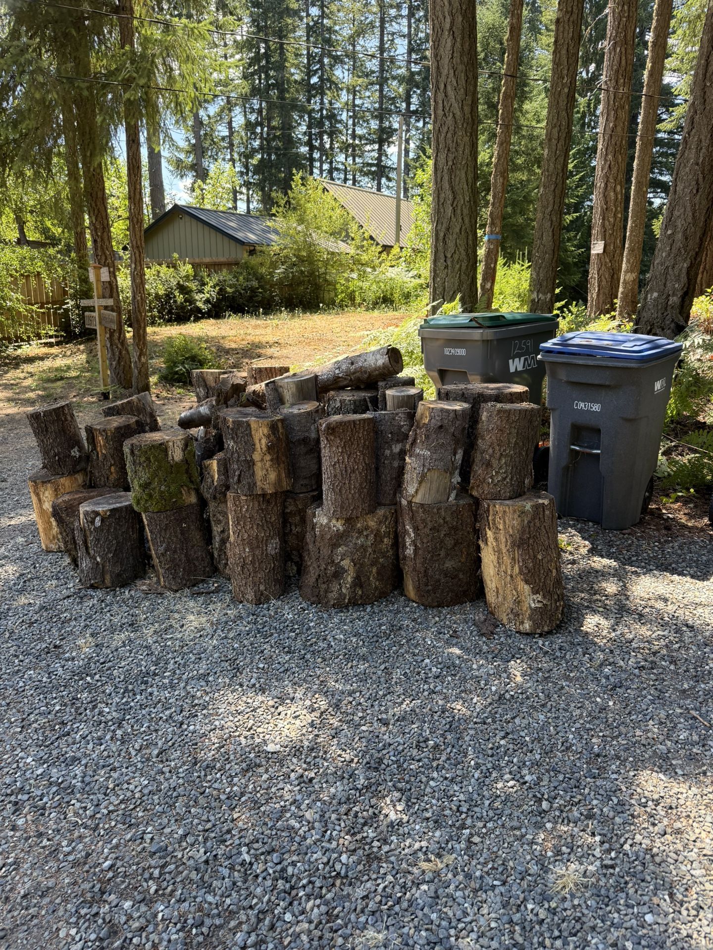 Free Firewood Rounds